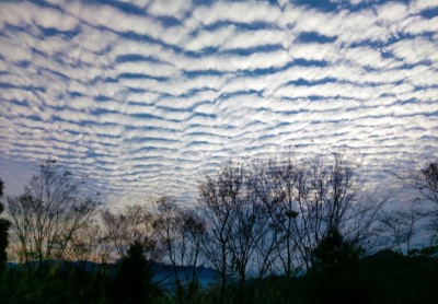 圖2、東眼山國家森林遊樂區 (林業保育署新竹分署提供)